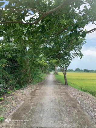 Bất động sản tại An Giang - ảnh 1