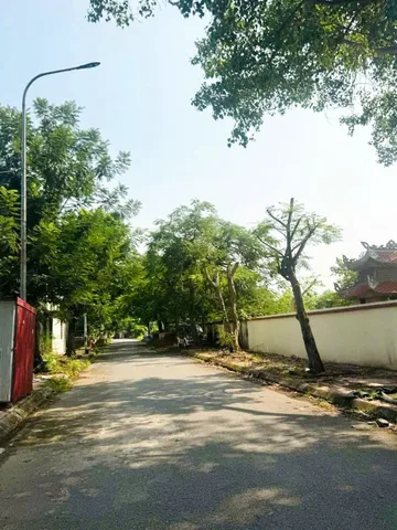 Bất động sản tại Hải Phòng - ảnh 1
