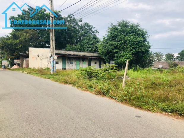 Bất động sản tại Bình Dương - ảnh 1