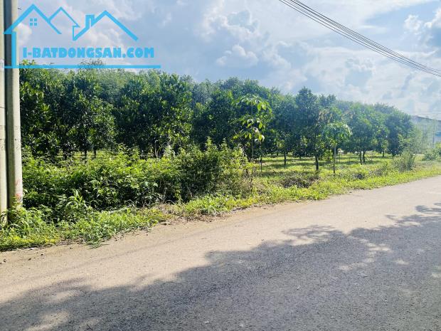 Bất động sản tại Bình Dương - ảnh 1