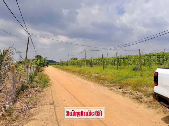 Bất động sản tại Đắk Lắk - ảnh 1