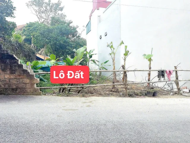 Bất động sản tại Phú Thọ - ảnh 1