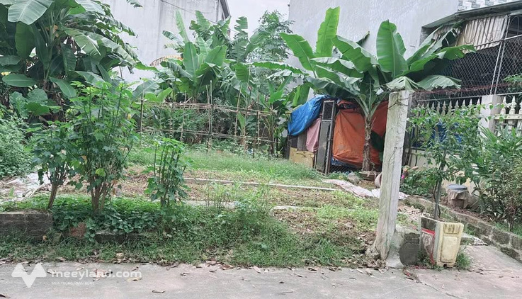 Bất động sản tại Phú Thọ - ảnh 1