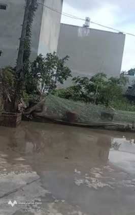 Bất động sản tại Hải Phòng - ảnh 1