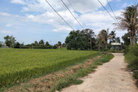 Bất động sản tại Ninh Thuận - ảnh 1