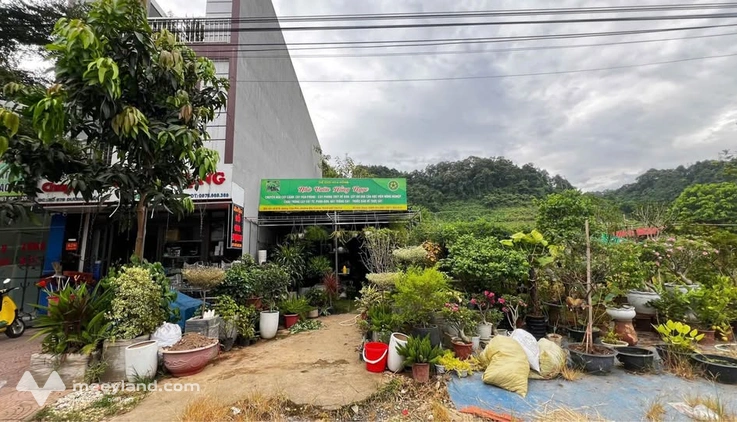 Bất động sản tại Lào Cai - ảnh 1