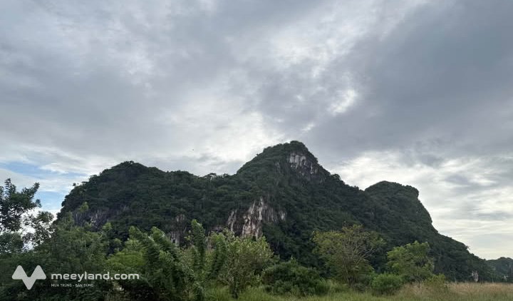 Bất động sản tại Đà Nẵng - ảnh 1