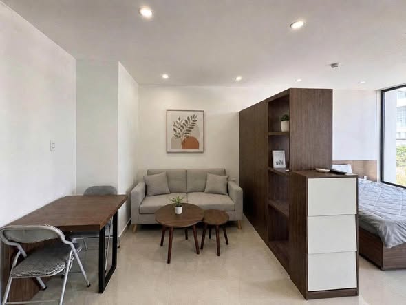 Bất động sản tại Đà Nẵng - ảnh 1