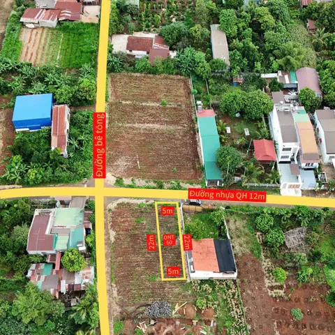 Bất động sản tại Đắk Lắk - ảnh 1