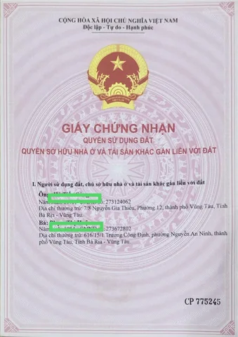 Bất động sản tại Bà Rịa - Vũng Tàu - ảnh 1