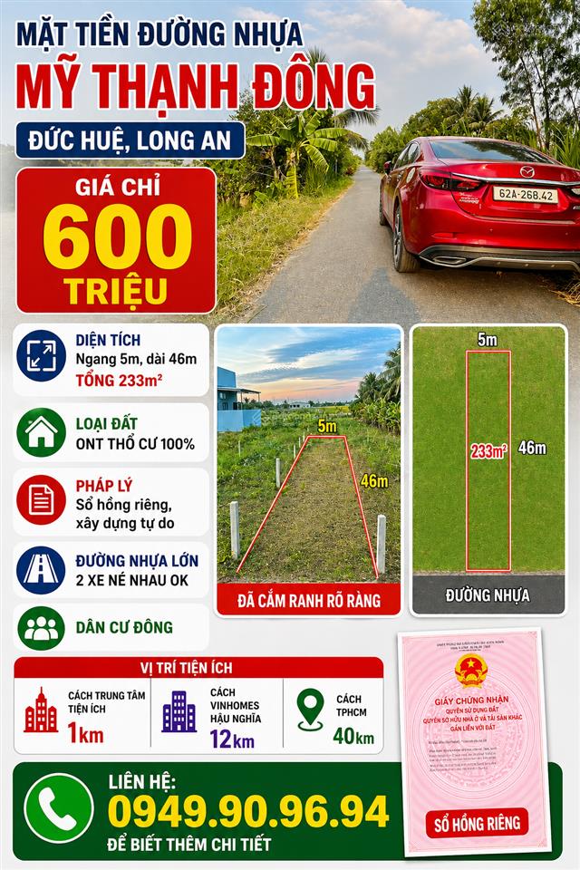 Bất động sản tại Long An - ảnh 1