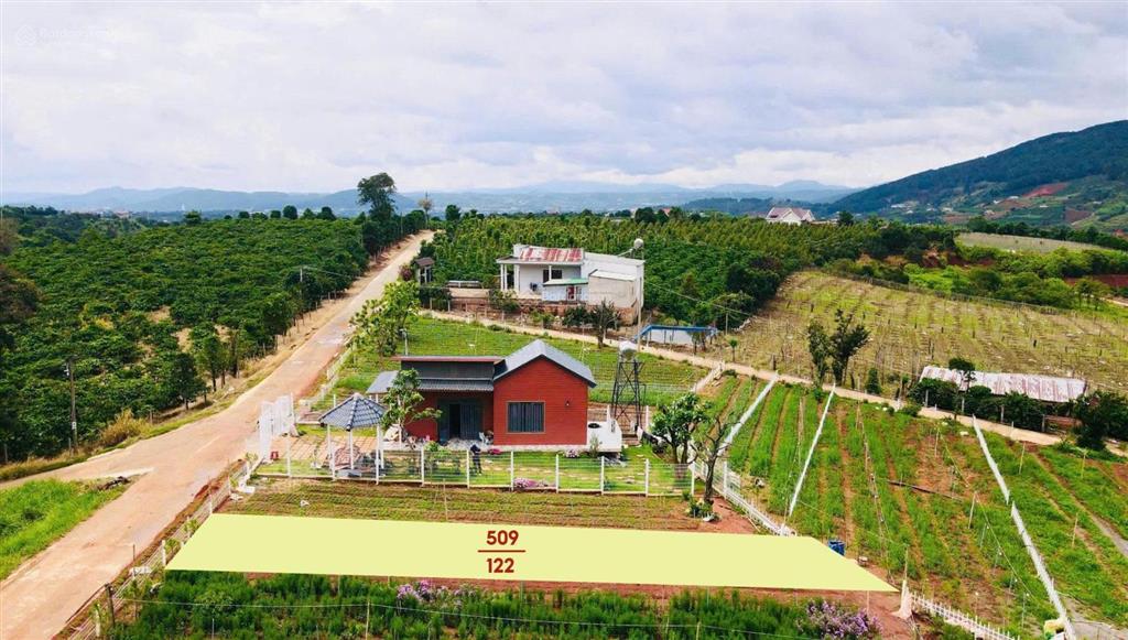 Bất động sản tại Lâm Đồng - ảnh 1