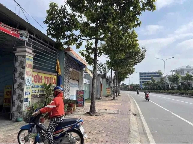 Bất động sản tại Bình Dương - ảnh 1