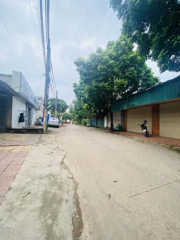 Bất động sản tại Phú Thọ - ảnh 1