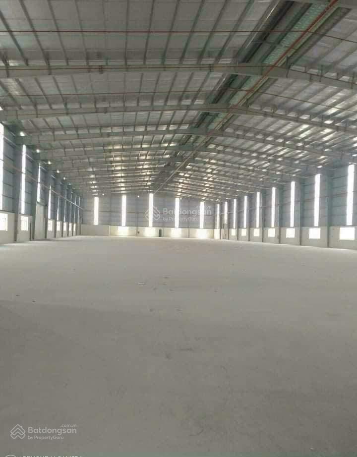 Bất động sản tại Bình Dương - ảnh 1