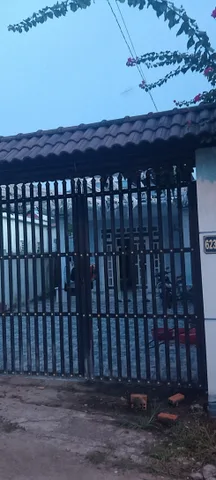 Bất động sản tại Bình Dương - ảnh 1