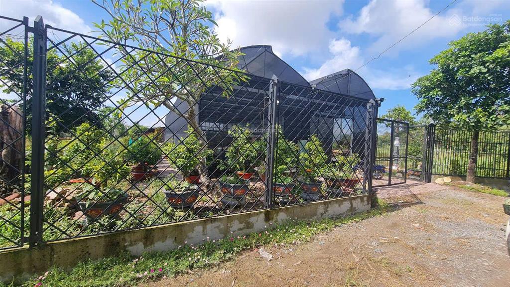 Bất động sản tại Tây Ninh - ảnh 1
