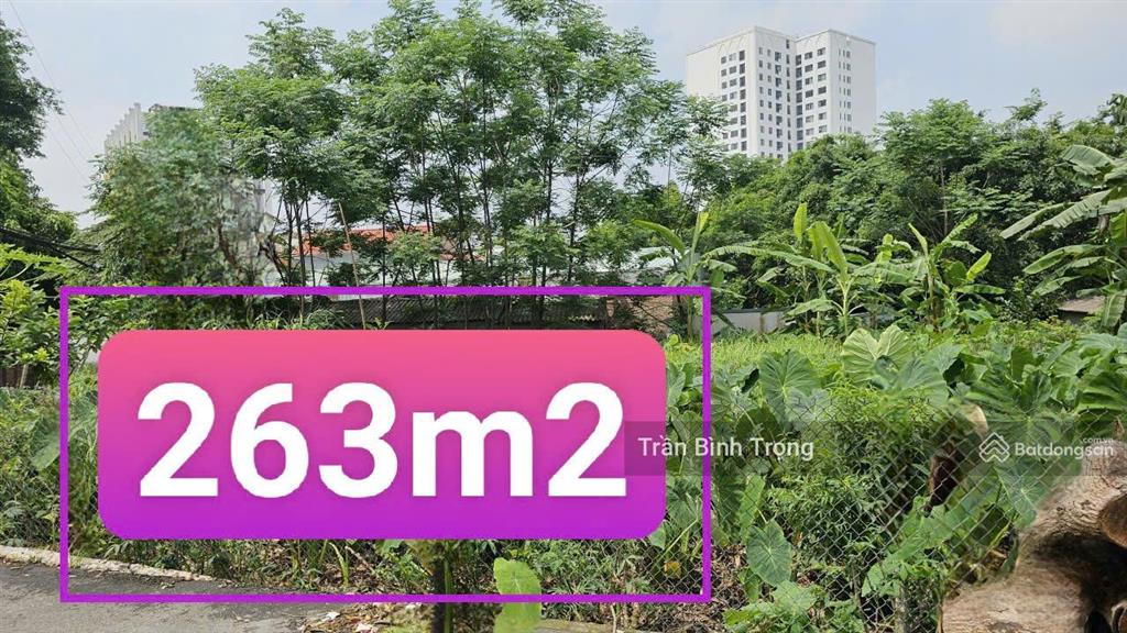 Bất động sản tại Vĩnh Phúc - ảnh 1