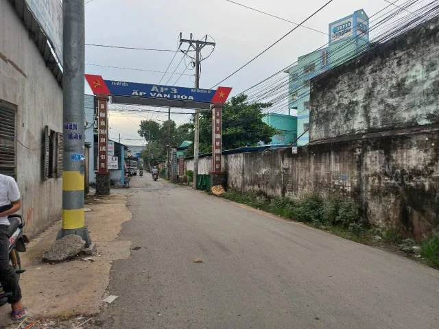 Bất động sản tại Long An - ảnh 1