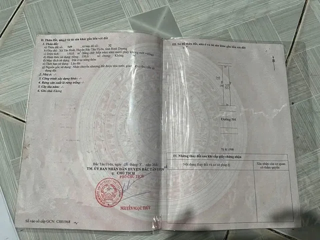 Bất động sản tại Bình Dương - ảnh 1