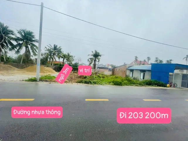 Bất động sản tại Hải Phòng - ảnh 1