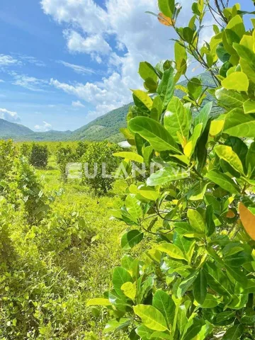 Bất động sản tại Khánh Hòa - ảnh 1