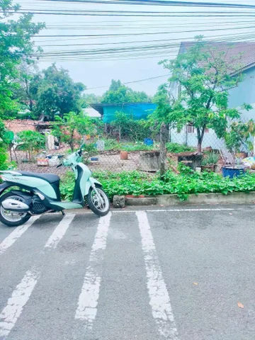 Bất động sản tại Bình Dương - ảnh 1