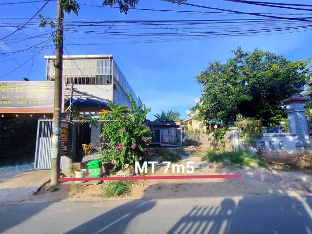 Bất động sản tại Đà Nẵng - ảnh 1
