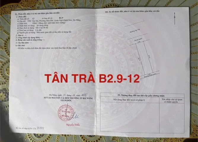 Bất động sản tại Đà Nẵng - ảnh 1