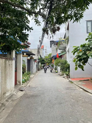 Bất động sản tại Hải Phòng - ảnh 1