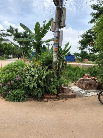 Bất động sản tại Hải Phòng - ảnh 1