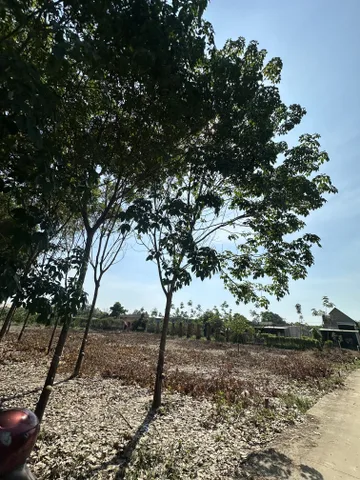 Bất động sản tại Bình Dương - ảnh 1
