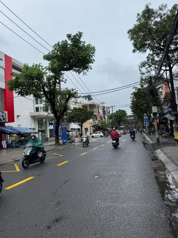 Bất động sản tại Đà Nẵng - ảnh 1