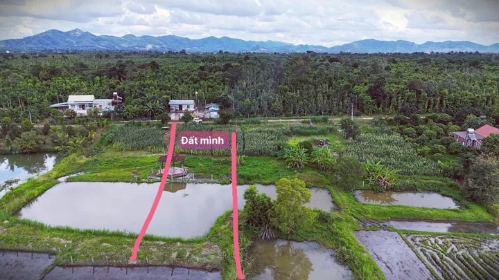 Bất động sản tại Đắk Lắk - ảnh 1
