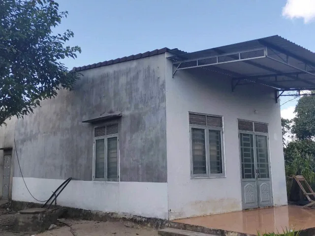 Bất động sản tại Đắk Lắk - ảnh 1