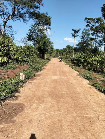Bất động sản tại Đắk Lắk - ảnh 1