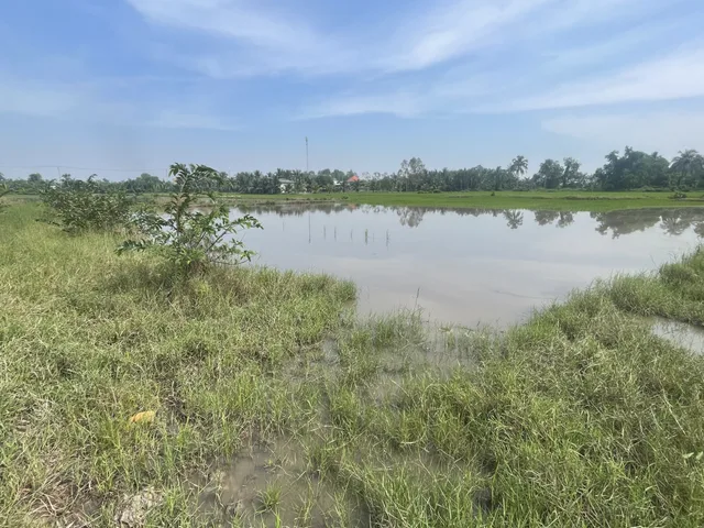 Bất động sản tại Long An - ảnh 1
