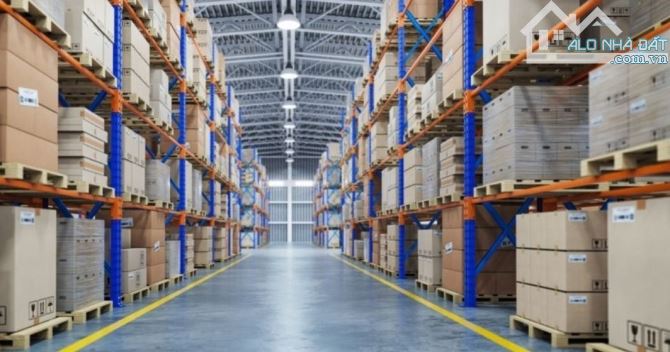 Bất động sản tại Bà Rịa - Vũng Tàu - ảnh 1