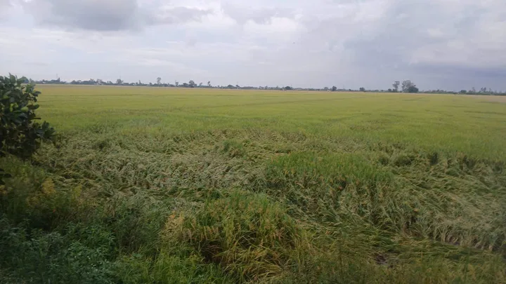 Bất động sản tại An Giang - ảnh 1