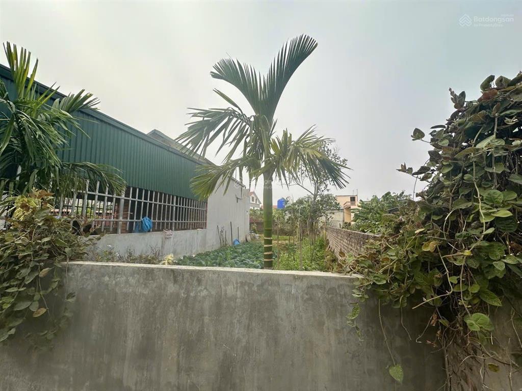 Bất động sản tại Bắc Ninh - ảnh 1