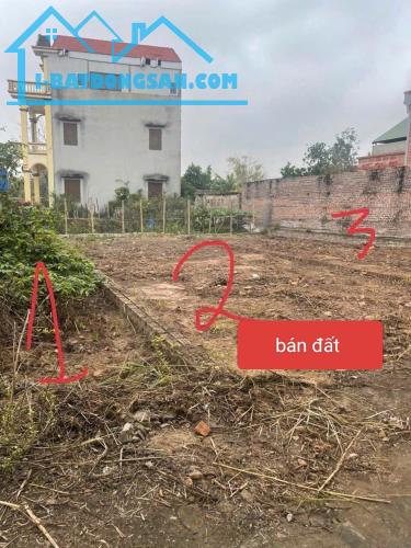 Bất động sản tại Hưng Yên - ảnh 1