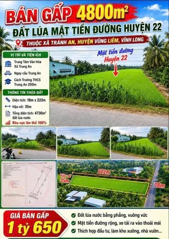 Bất động sản tại Vĩnh Long - ảnh 1