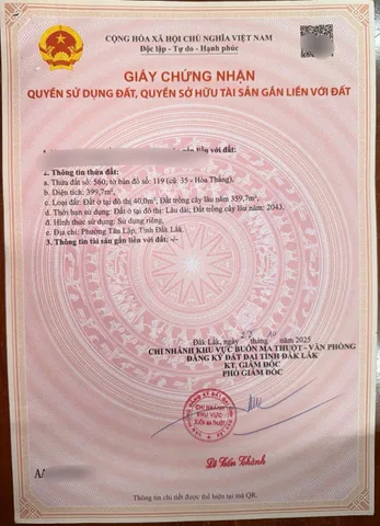 Bất động sản tại Đắk Lắk - ảnh 1