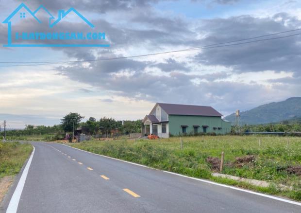 Bất động sản tại Lâm Đồng - ảnh 1