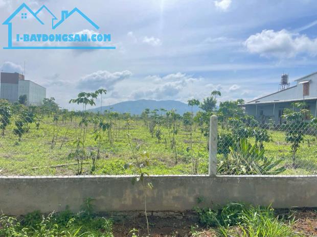 Bất động sản tại Lâm Đồng - ảnh 1