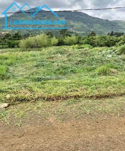 Bất động sản tại Lâm Đồng - ảnh 1