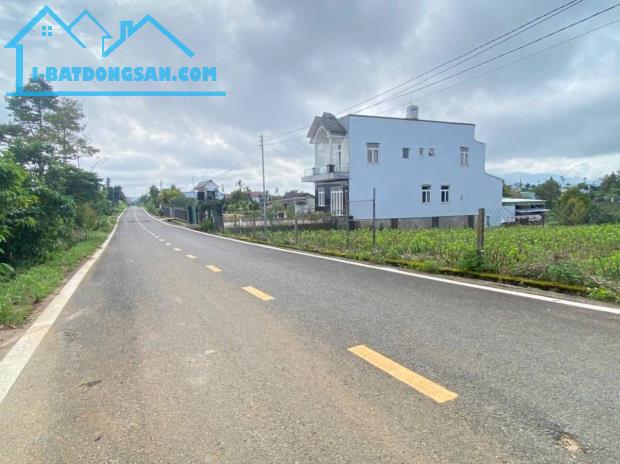 Bất động sản tại Lâm Đồng - ảnh 1