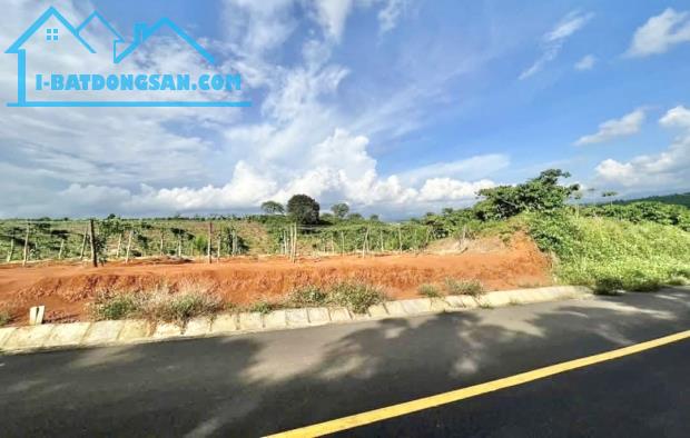 Bất động sản tại Lâm Đồng - ảnh 1