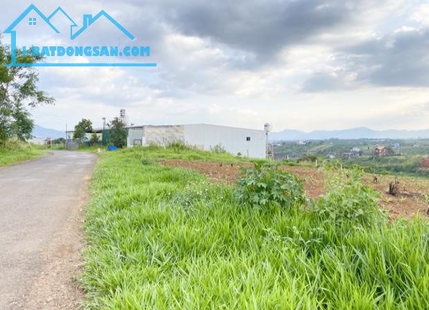 Bất động sản tại Lâm Đồng - ảnh 1