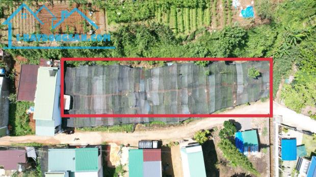 Bất động sản tại Lâm Đồng - ảnh 1